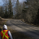 Illustration for article titled CRC 2015 Rally of the Tall Pines Photodump